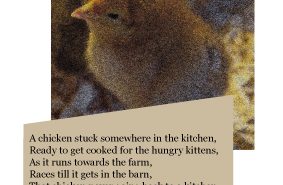 Limerick Poem Chicken