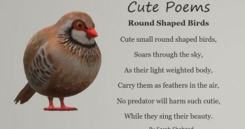 Cute Poem, Round Shaped Birds