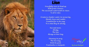 lion